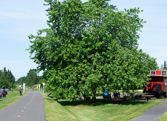 Acosta_Piste_cyclabe-2