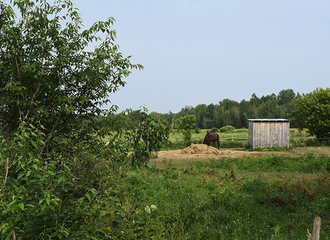 ParcoursNature_Cheval